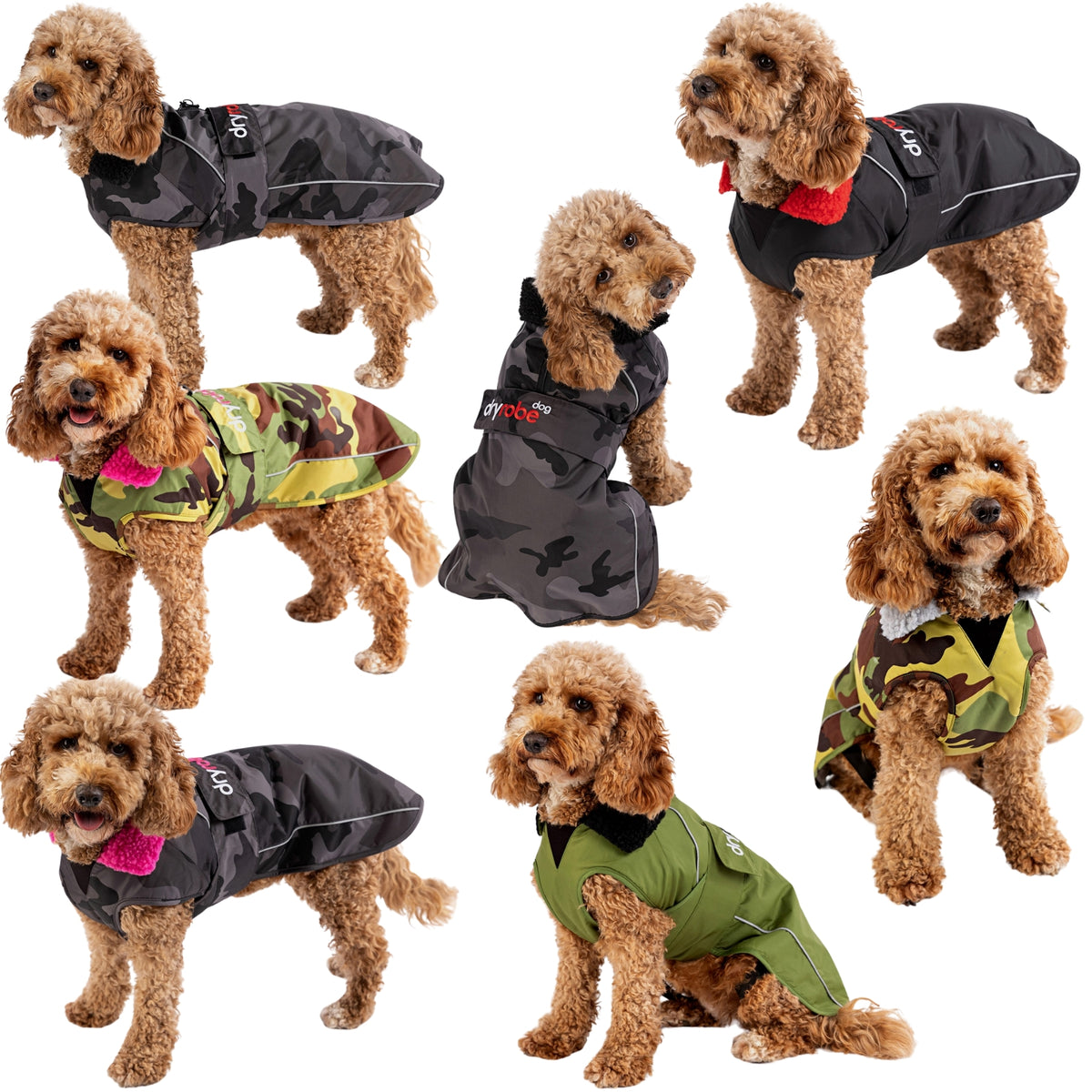 Somoyed Dog Print Pattern Men Long Robe