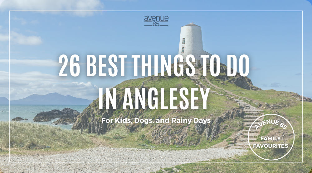 26 best things to do in Anglesey with kids, dogs, and rainy days