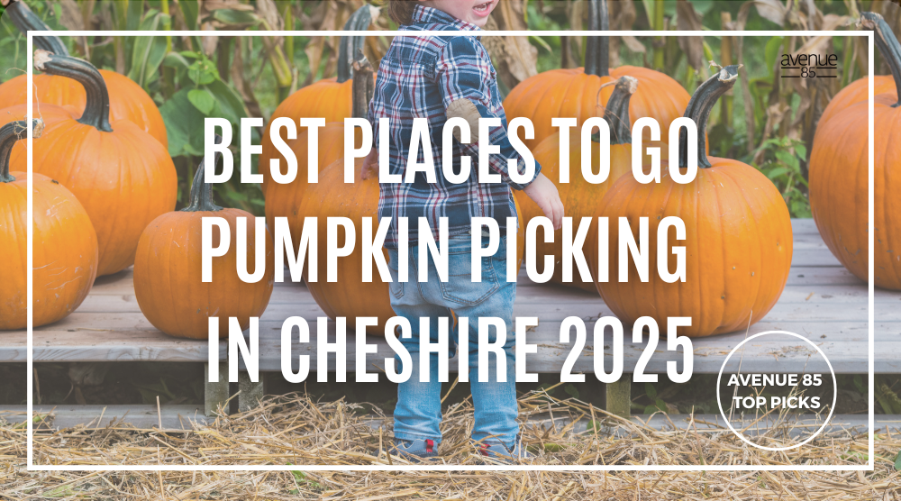 Best places to go pumpkin picking in Cheshire 2025