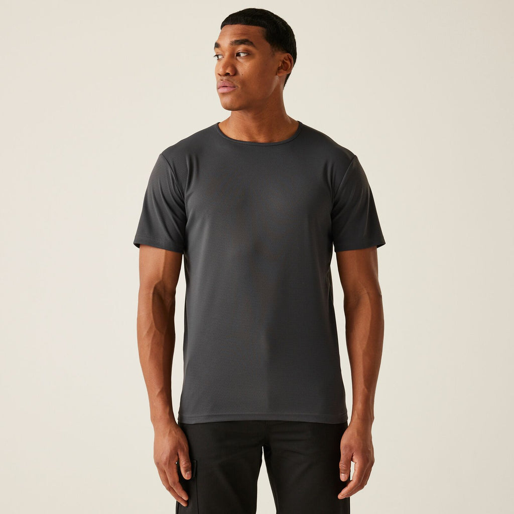 Seal Grey