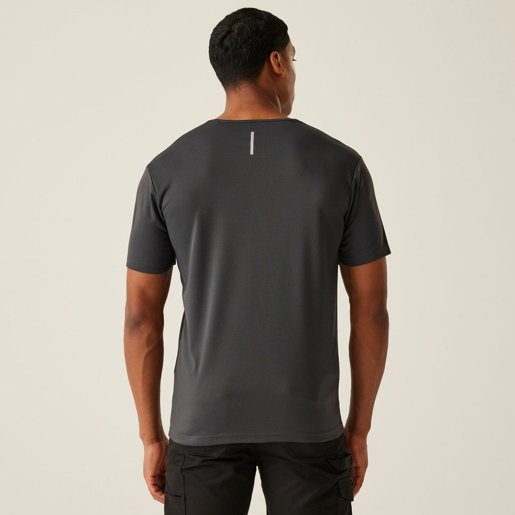 Seal Grey