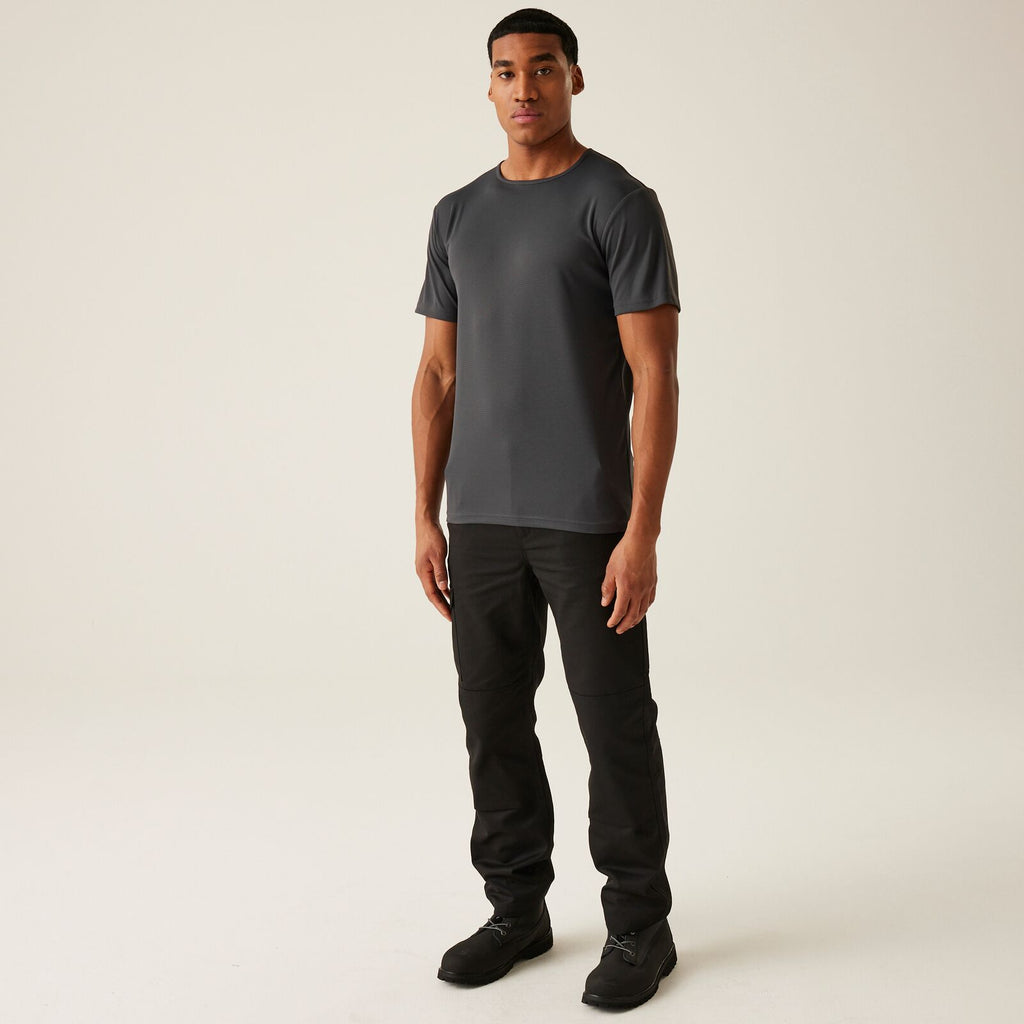 Seal Grey