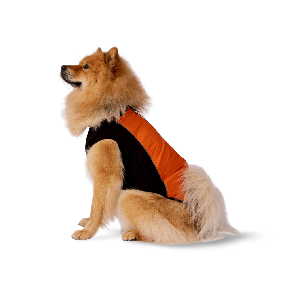 Black/ Burnt Orange