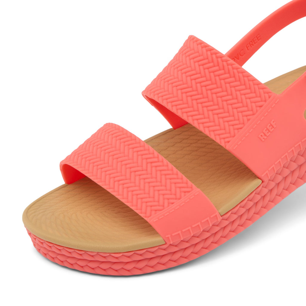 Sunset Coral