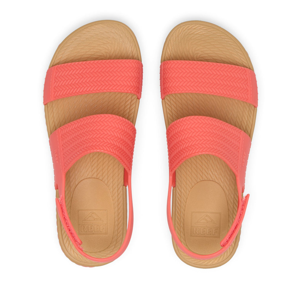 Sunset Coral
