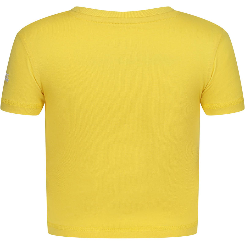 Maize Yellow