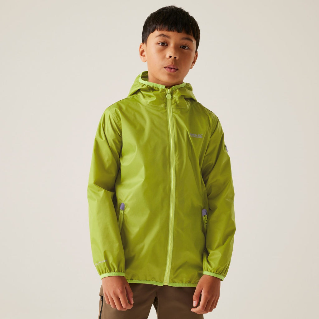 Grenoble Green (Wild Lime)