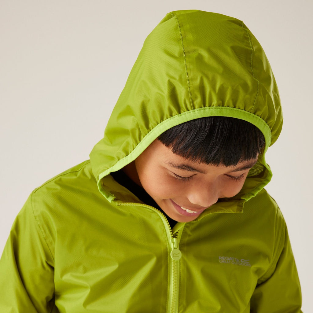 Grenoble Green (Wild Lime)