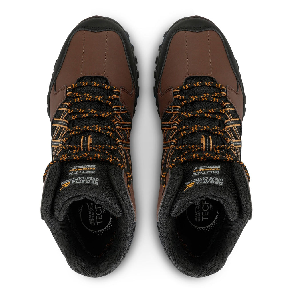 Chestnut/Inca Gold​
