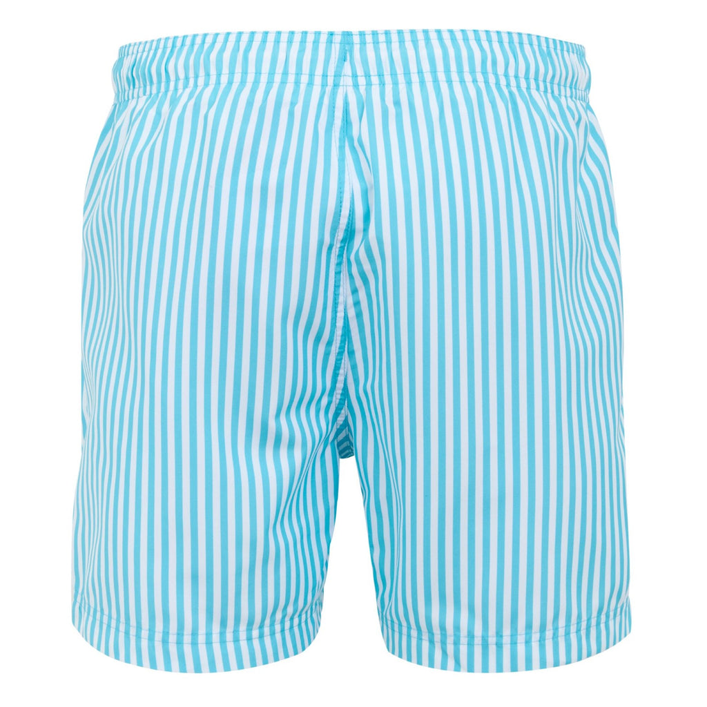 Aquarius Blue Stripe