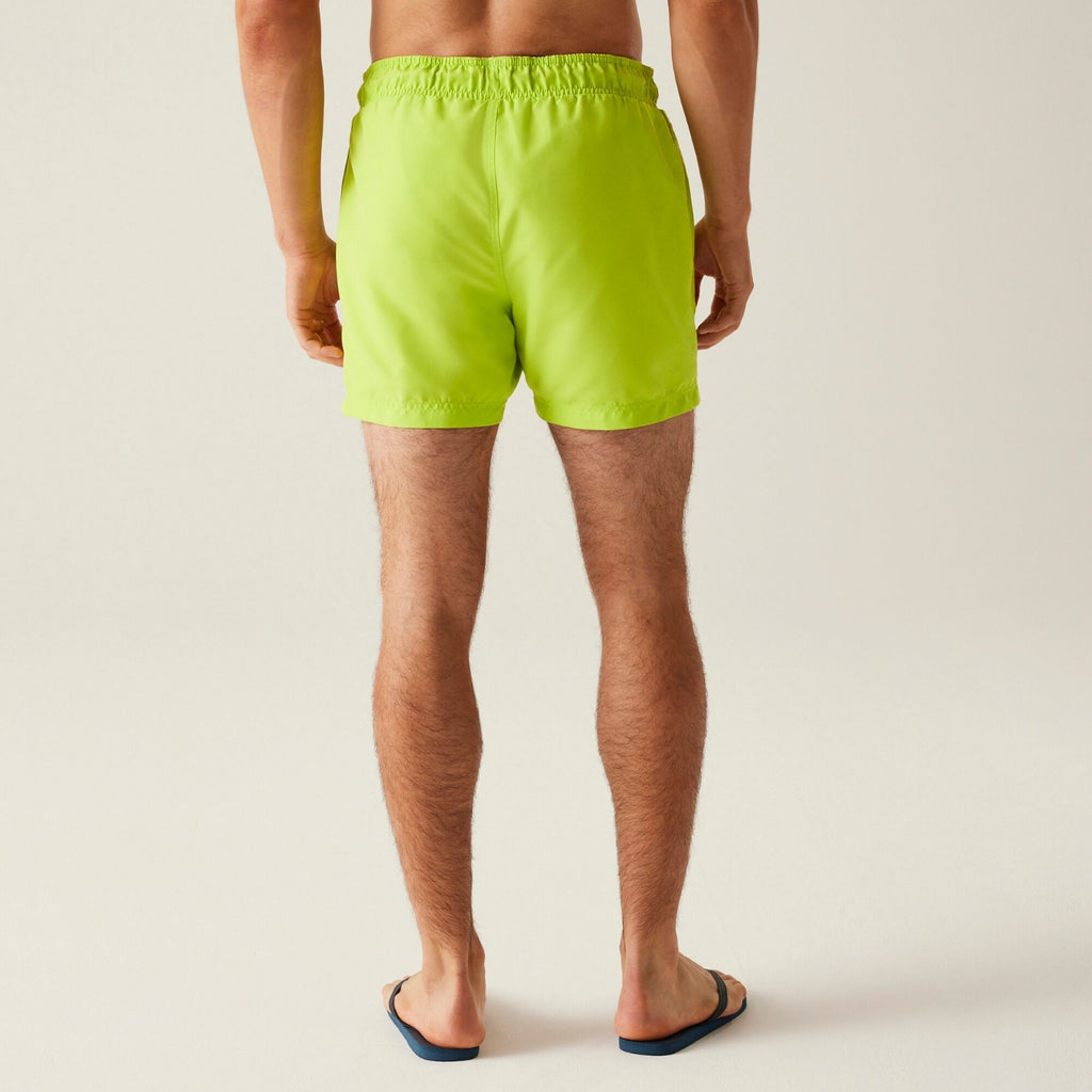 Wild Lime/Navy