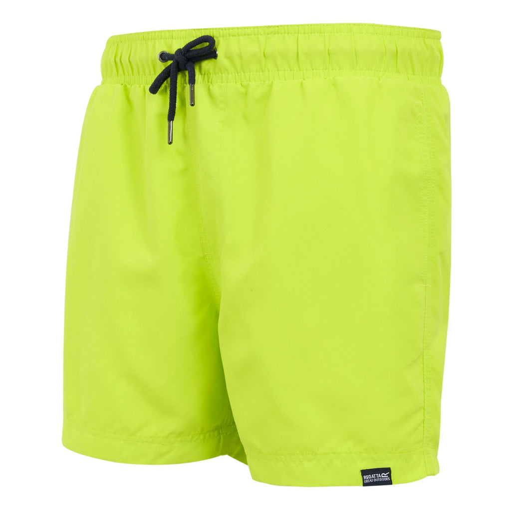 Wild Lime/Navy