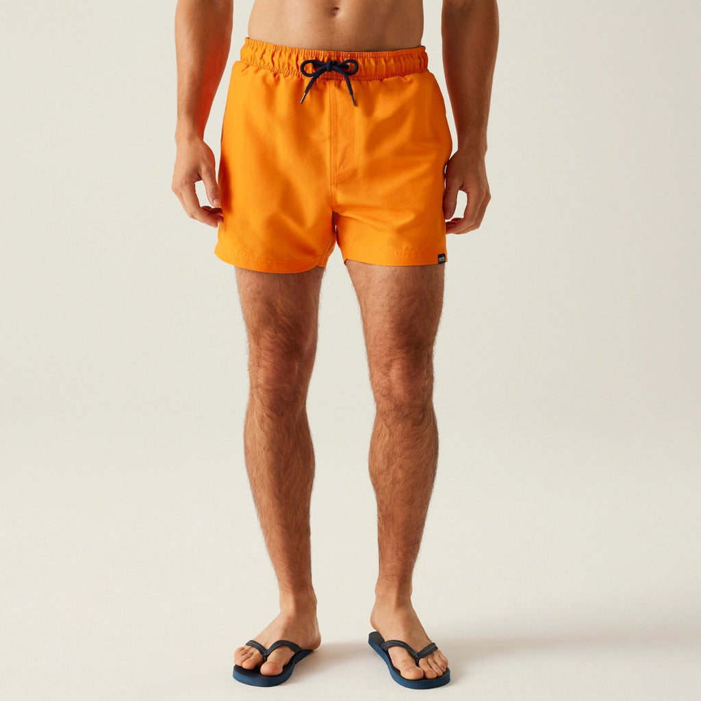 Celosia Orange/Navy