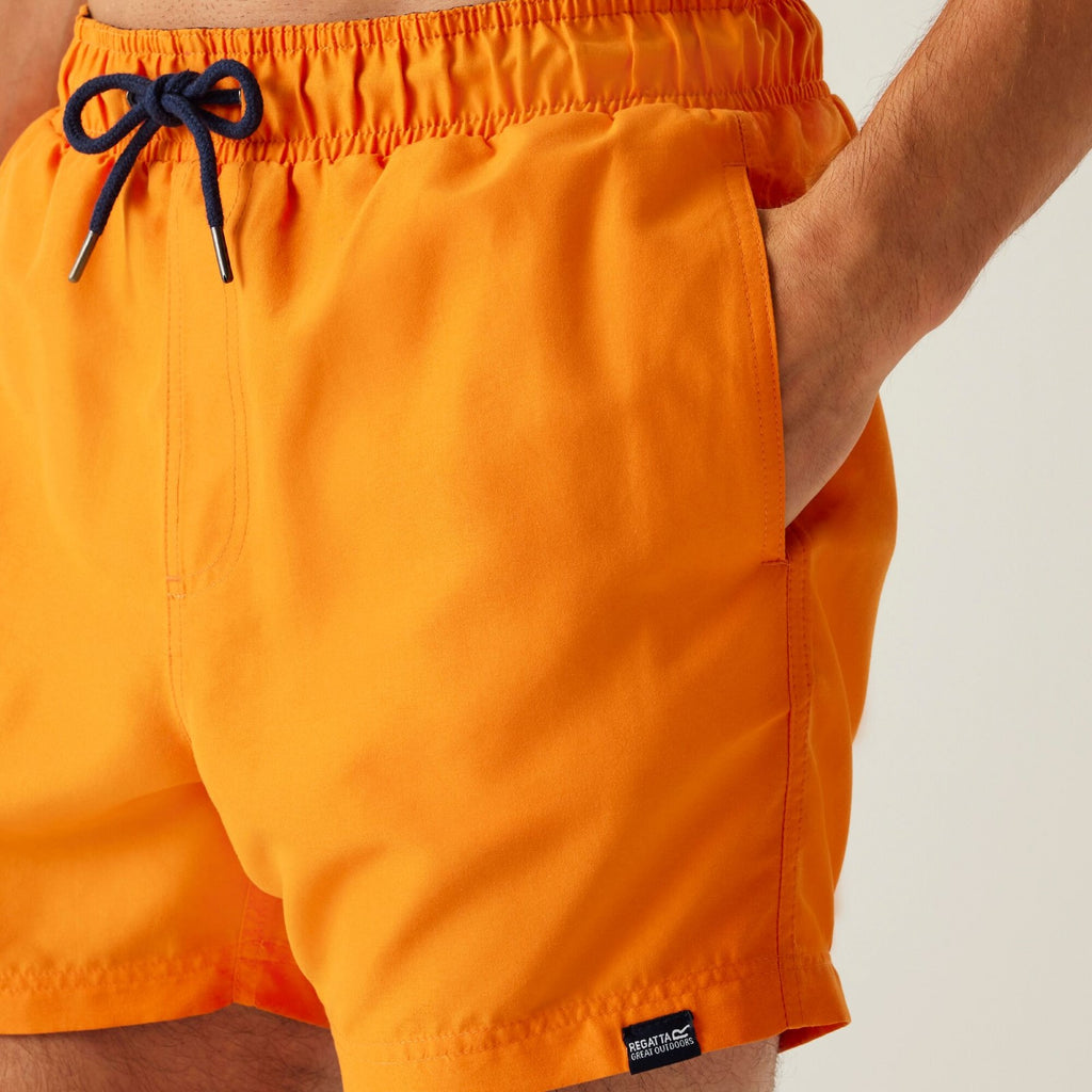 Celosia Orange/Navy