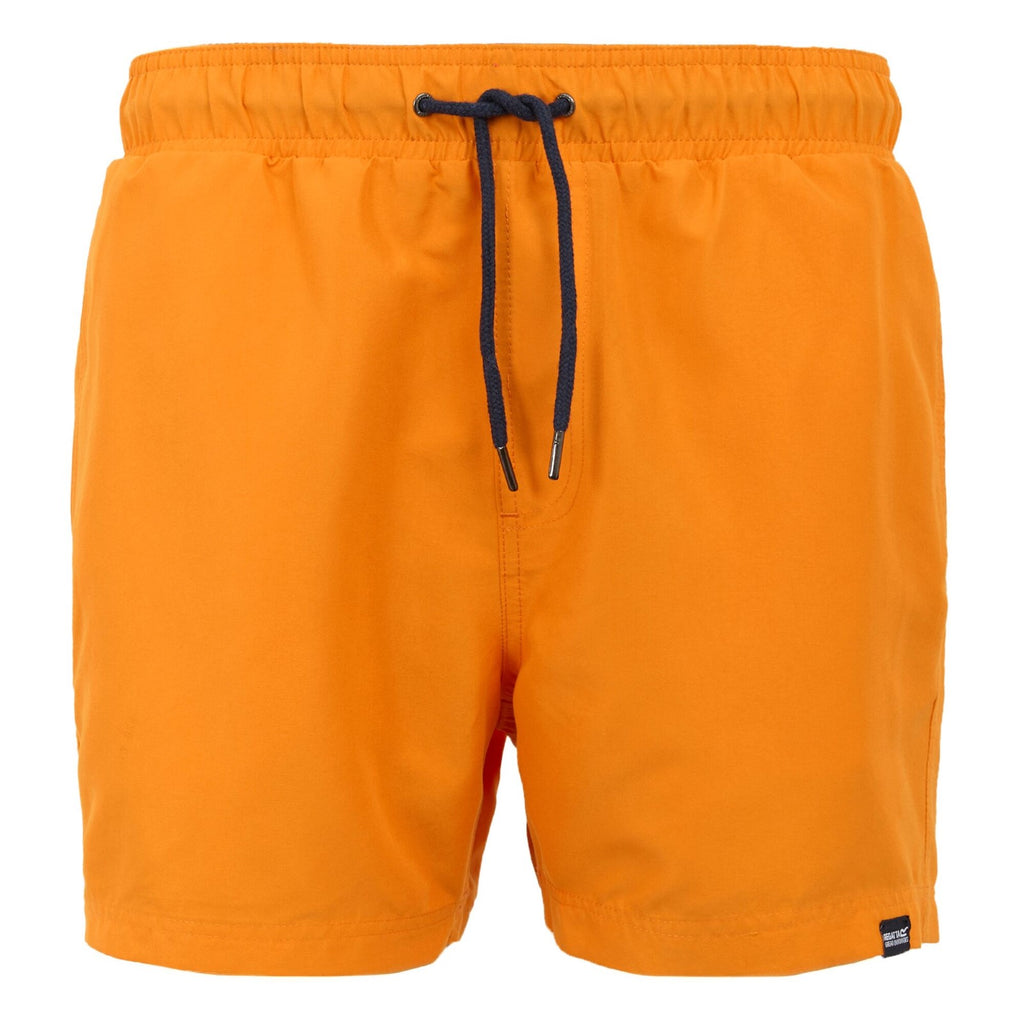 Celosia Orange/Navy