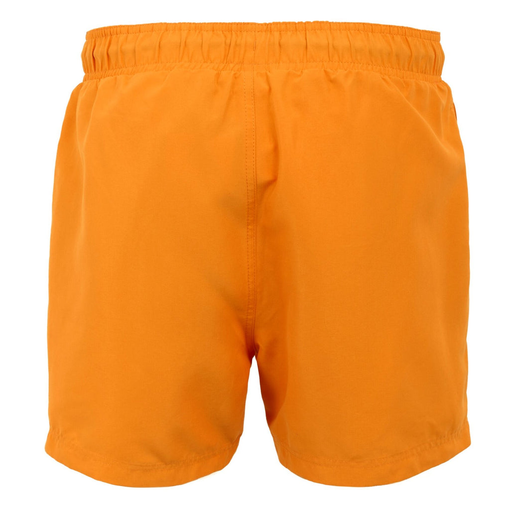 Celosia Orange/Navy