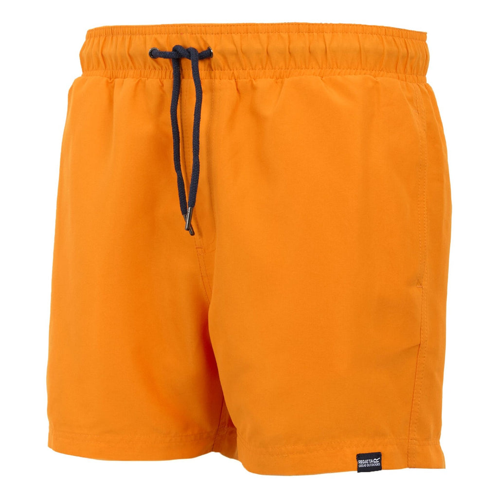Celosia Orange/Navy