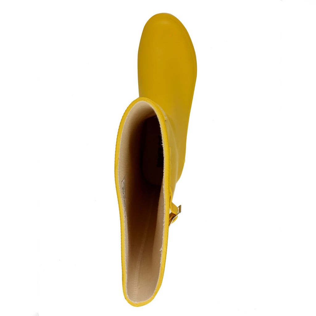 Maize Yellow