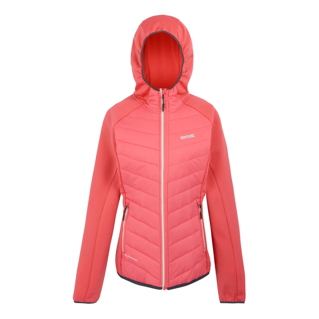 Peach Bloom (Seal Grey)