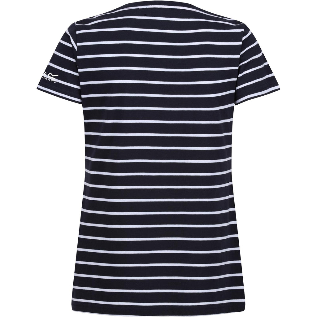 Navy/White Stripe