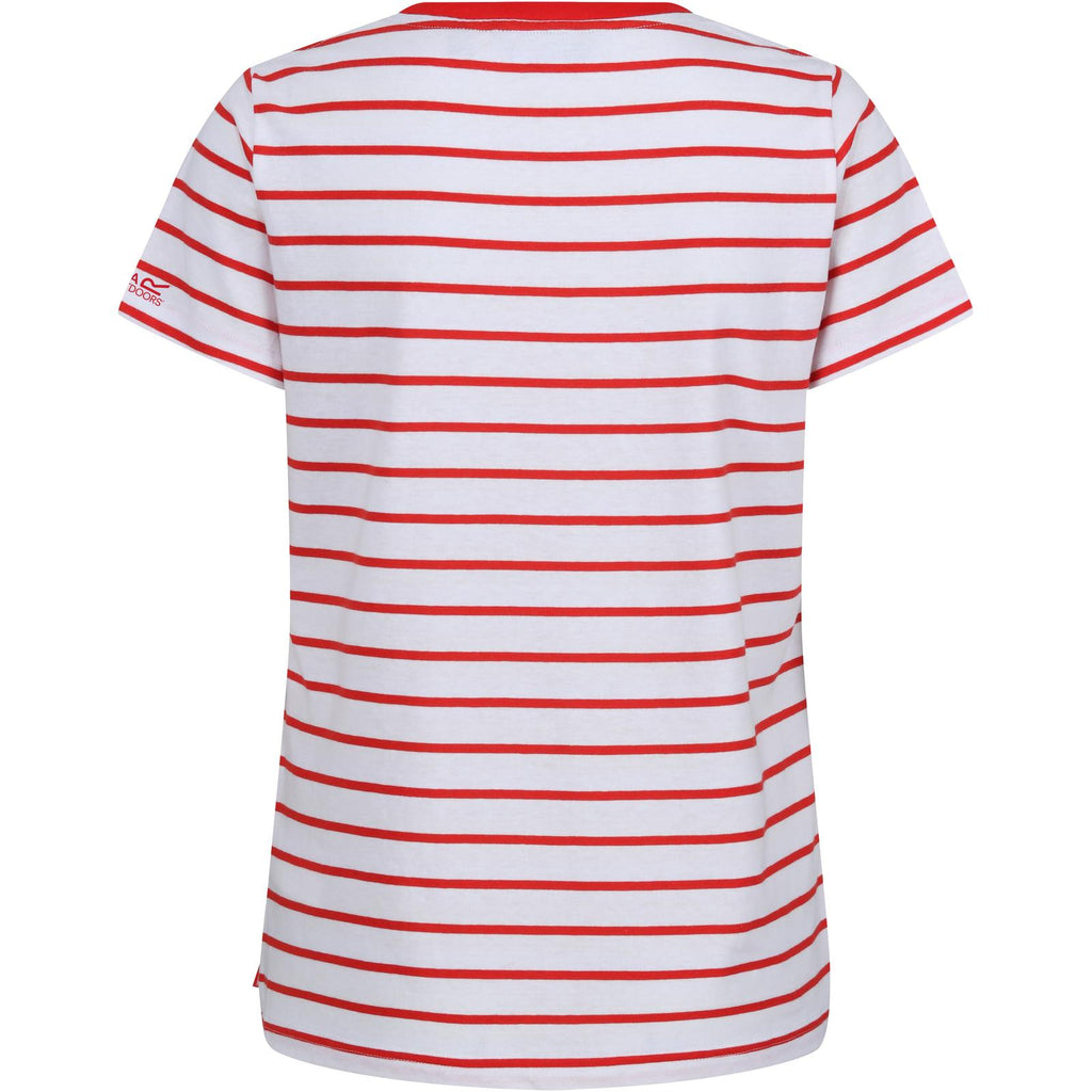 High Risk Red/White Stripe