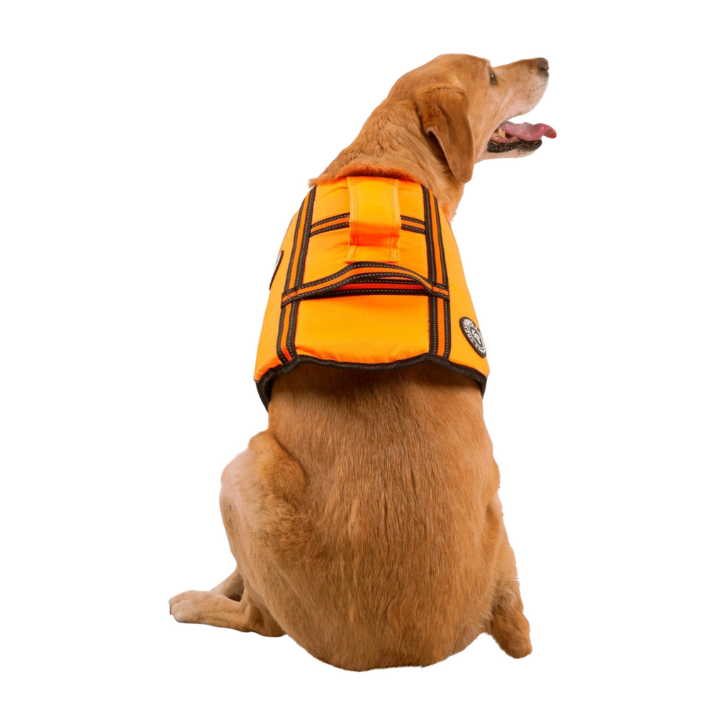 High Vis