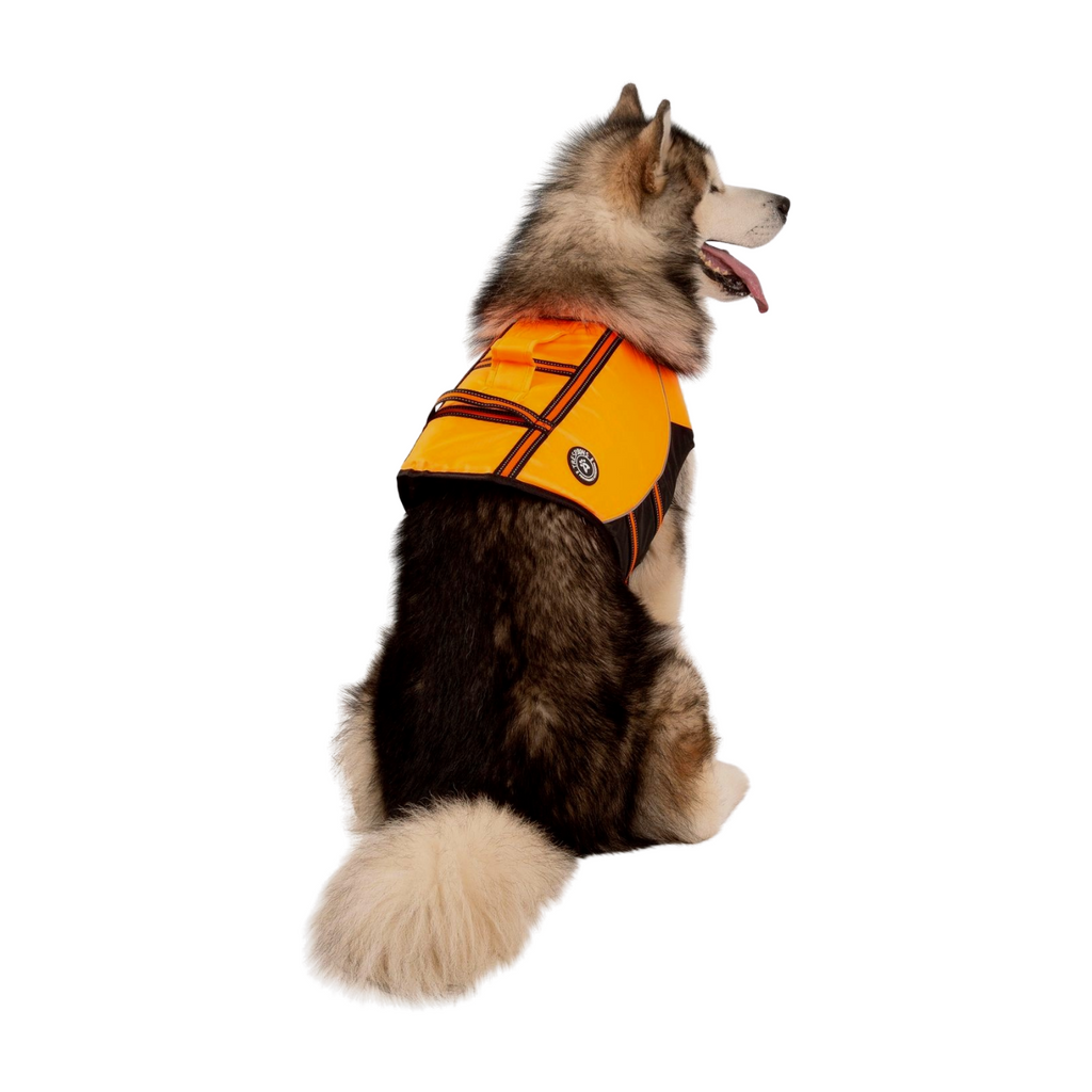 High Vis