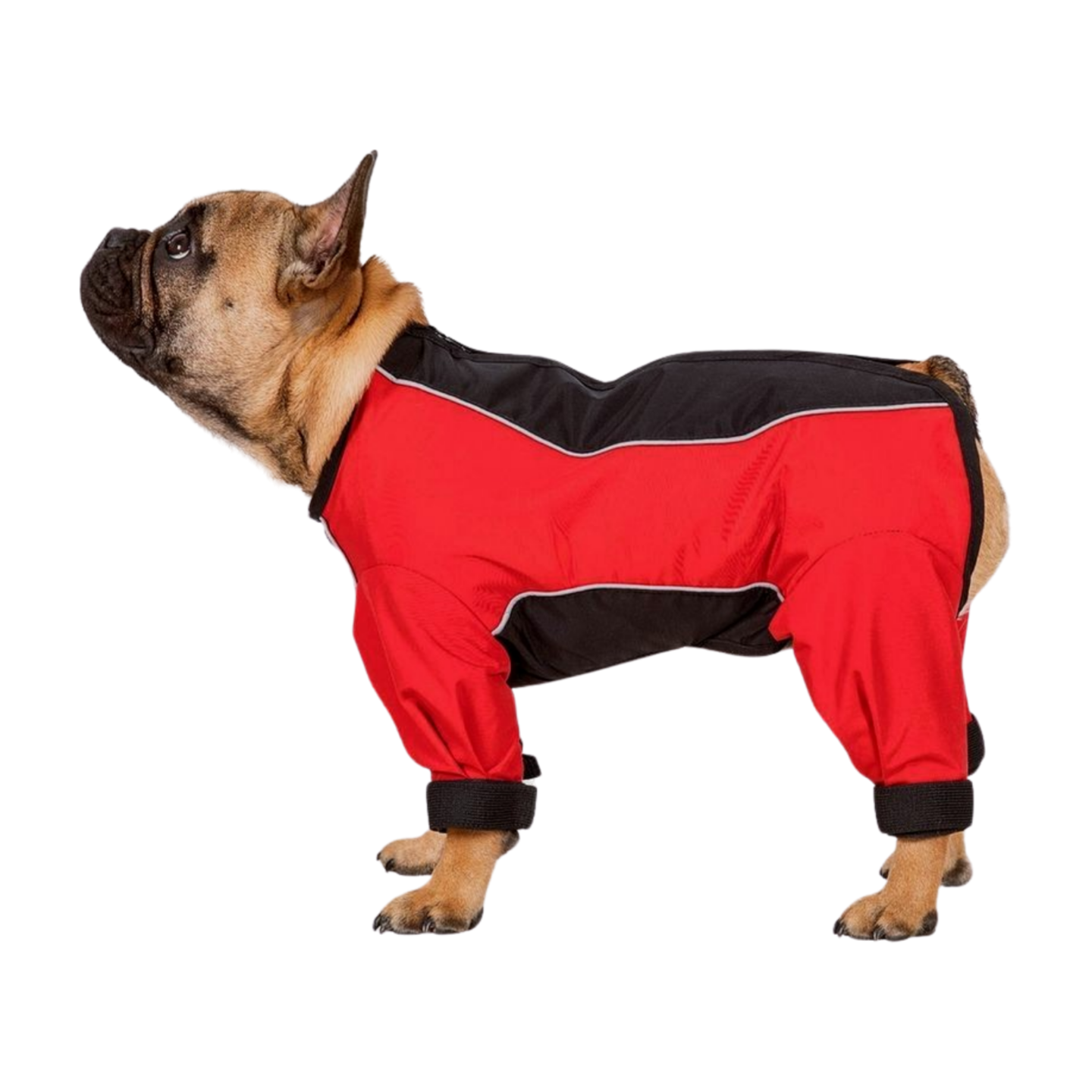 Trespaws Tia Dog Raincoat With Legs – Avenue 85 - Main Image
