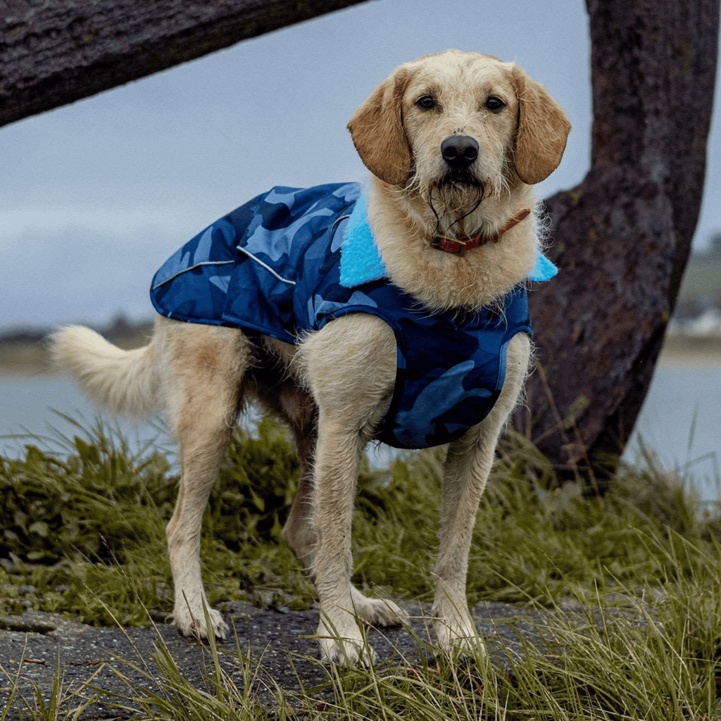 Blue Camo/Blue