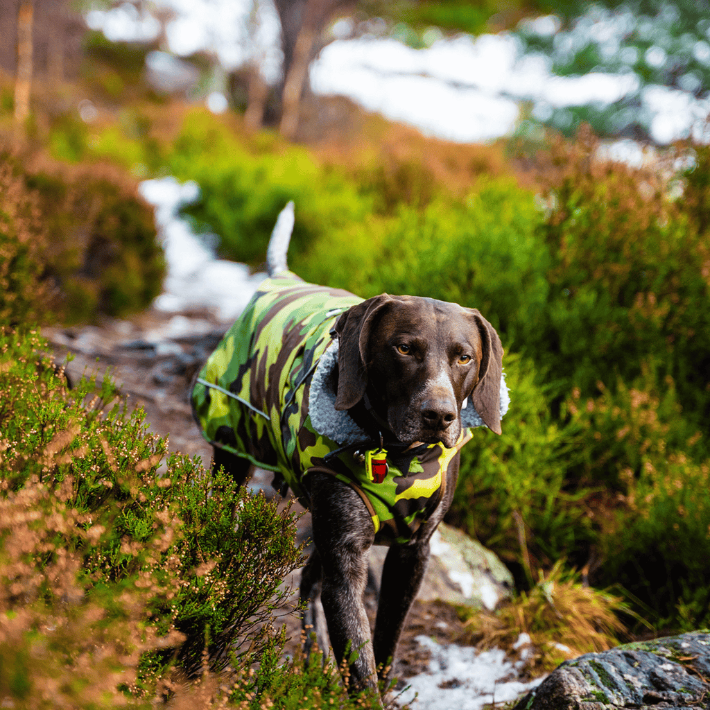 Camouflage Grey