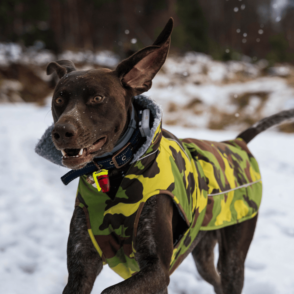 Camouflage Grey