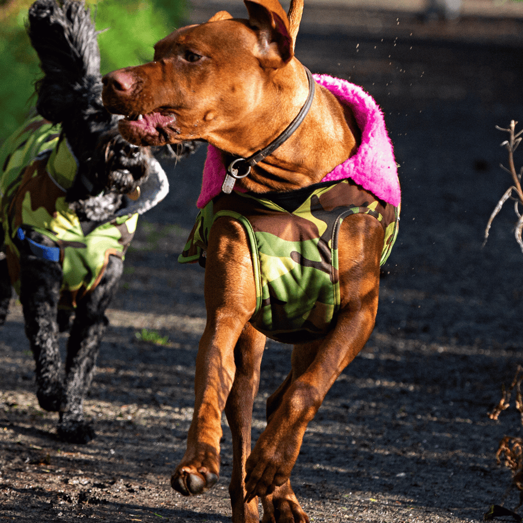 Camouflage Pink