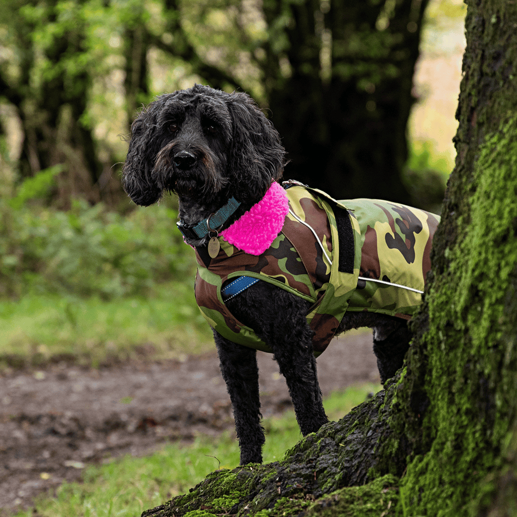 Camouflage Pink