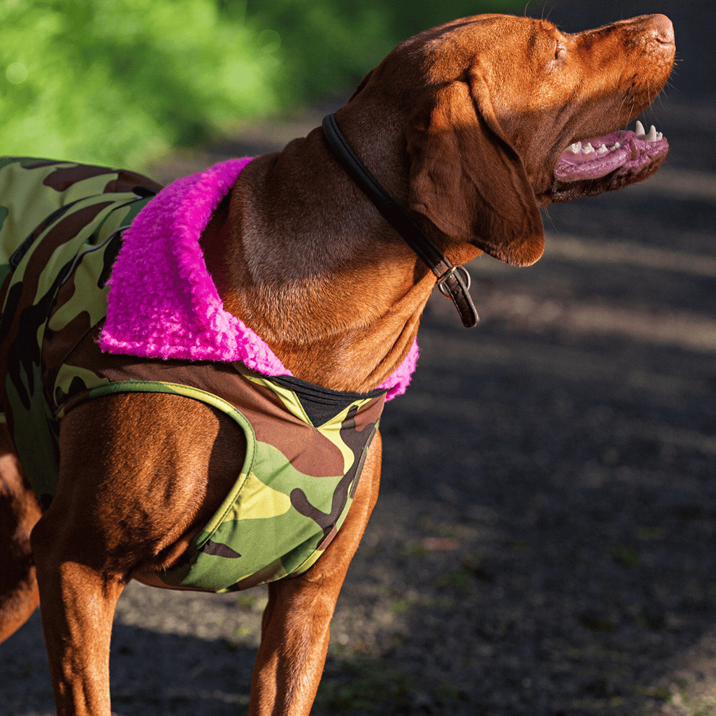 Camouflage Pink