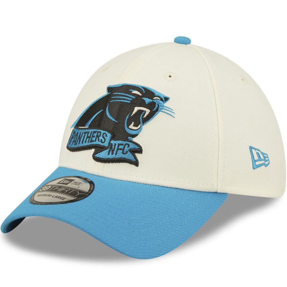 Panthers baseball cap online